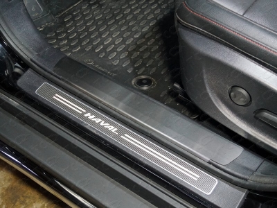 Накладки на пороги на пластик шлифованный лист 2 штуки ТСС для Haval H6 2014-2020